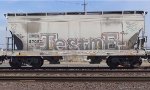 CMEX 87007